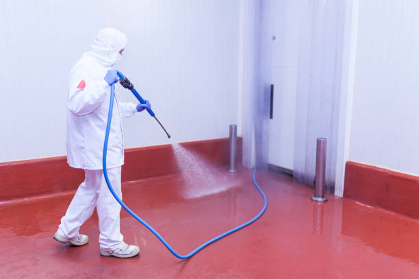 Boat and Dock Cleaning in Weslaco, TX