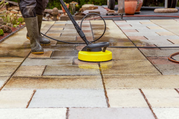 Animal Enclosure Cleaning in Weslaco, TX